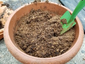 有機肥料と化学肥料の違いは？家庭菜園初心者は必見です