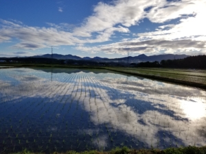 2018無農薬米づくり記録１