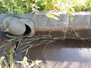 2018米づくり記録１５～水不足と高温～