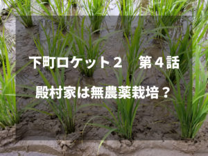 農家視点で下町ロケット第４話をみた感想。～殿村家は無農薬栽培？～