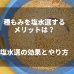 種もみを塩水選するメリットは？塩水選の効果とやり方を紹介します
