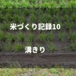 溝きり｜2019米づくり記録10