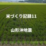 山形沖地震｜2019米づくり記録11