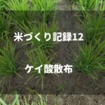 ケイ酸散布｜2019米づくり記録12