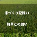 早生の稲刈りがスタート｜2019米づくり記録22
