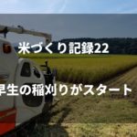コシヒカリの稲刈りスタート｜2019米づくり記録23