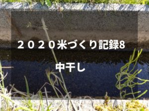 中干し｜2020米づくり記録8