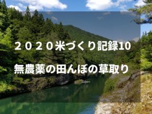 無農薬の田んぼの草取り｜2020米づくり記録10