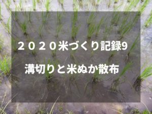 溝切りと米ぬか散布｜2020米づくり記録9