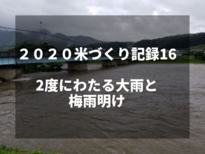 2度にわたる大雨と梅雨明け｜2020米づくり記録16