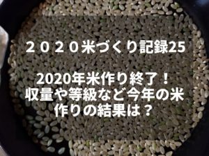 2020年米作り終了！収量や等級など今年の米作りの結果は？｜2020米づくり記録25
