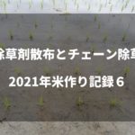 除草剤散布とチェーン除草｜2021米作り記録6