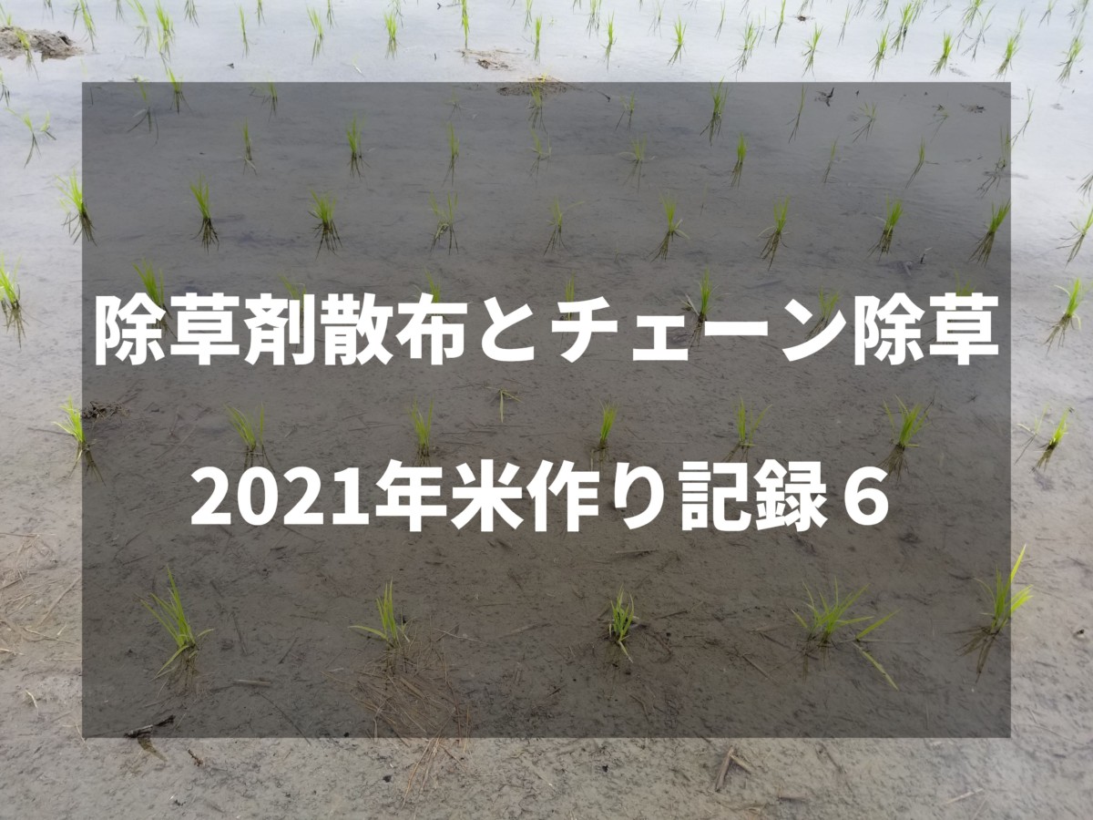 除草剤散布とチェーン除草｜2021米作り記録6
