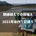除草剤散布とチェーン除草｜2021米作り記録6