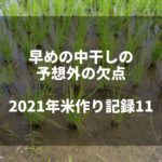 早めの中干しの予想外の欠点｜2021米作り記録11