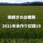 乾かない田んぼ｜2021米作り記録20