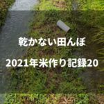 低温続きの夏｜2021米作り記録21