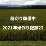 コシイブキの稲刈りスタート｜2021米作り記録23