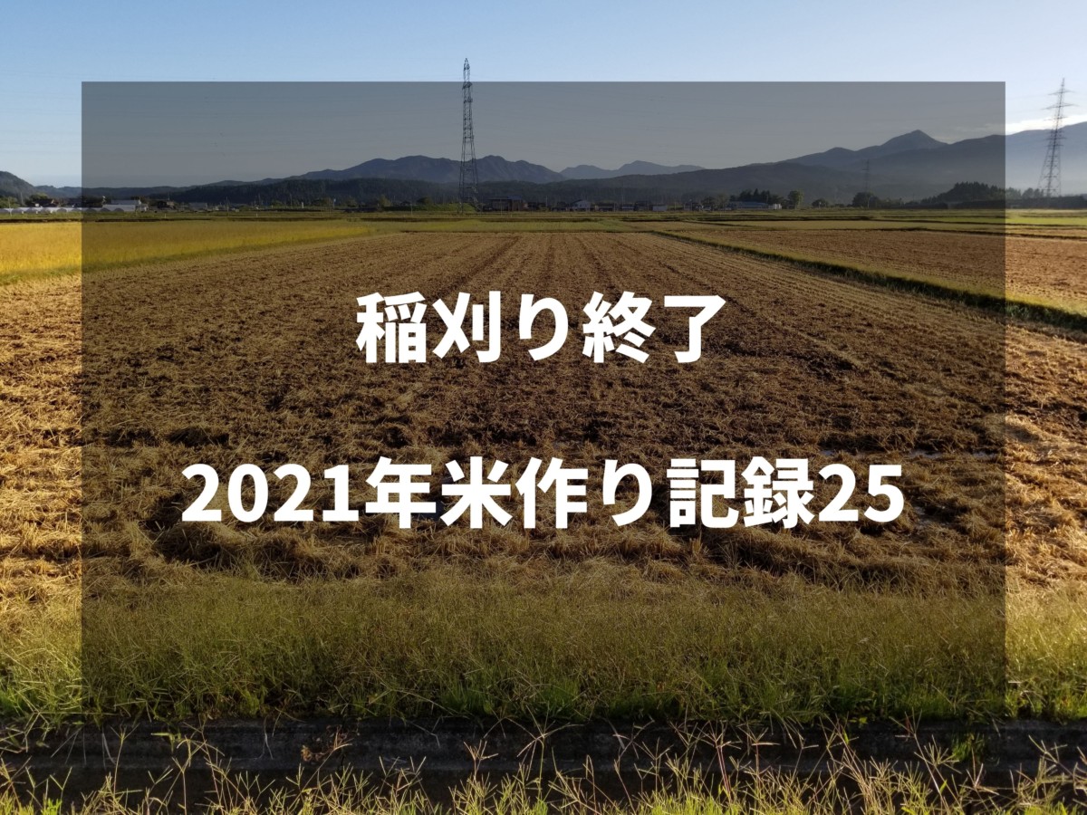 稲刈り終了｜2021米作り記録25